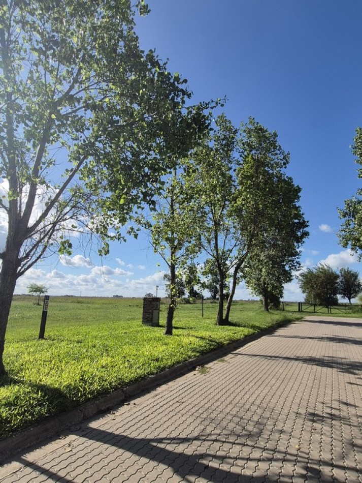 LA FLORIDA - VENTA nuevos Lotes, frente al este , con asfalto